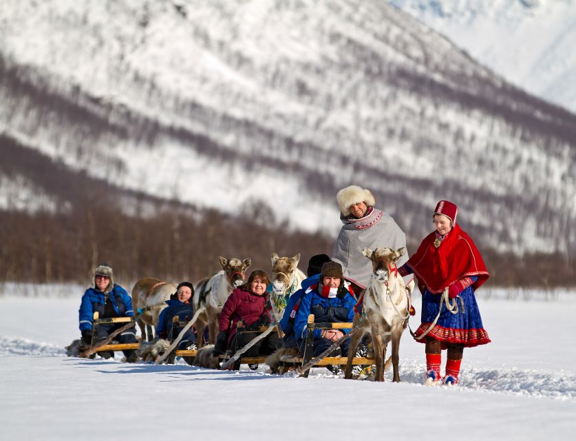 From Tromsø: Daytime Reindeer Sledding at Camp Tamok - How to Book