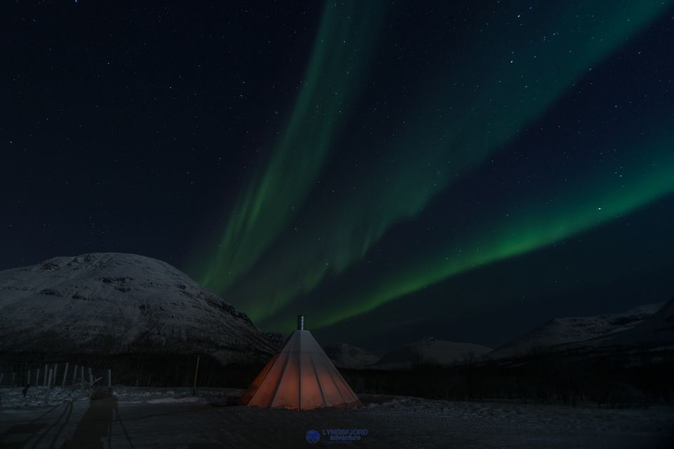 From Tromsø: Evening Reindeer Sledding at Camp Tamok - Tips for Preparation