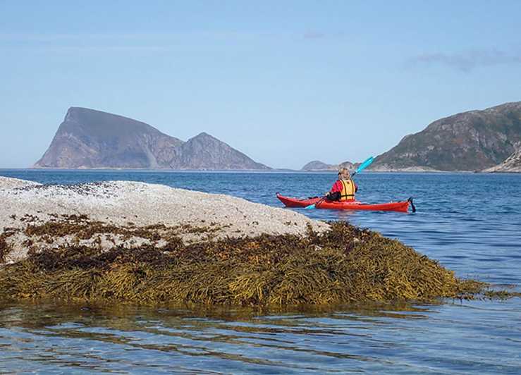 From Tromsø: Sea Kayaking Tour at Sommarøy With Transfer - Inclusions