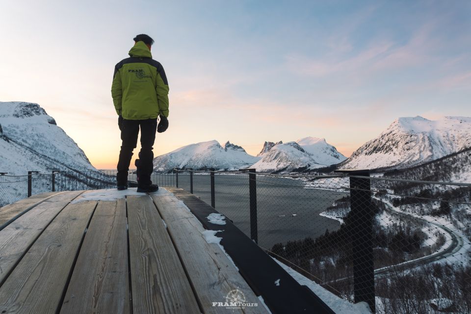 From Tromsø: Senja and Kvaløya Arctic Day Trip With Lunch - Lunch Options