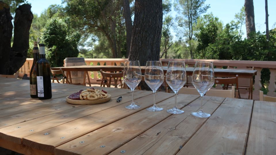 From Valencia: Utiel-Requena Wine Tour and Traditional Lunch - Guided Experience