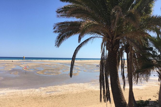 Fuerteventura South Exclusive Tour - Tour Duration and Accessibility