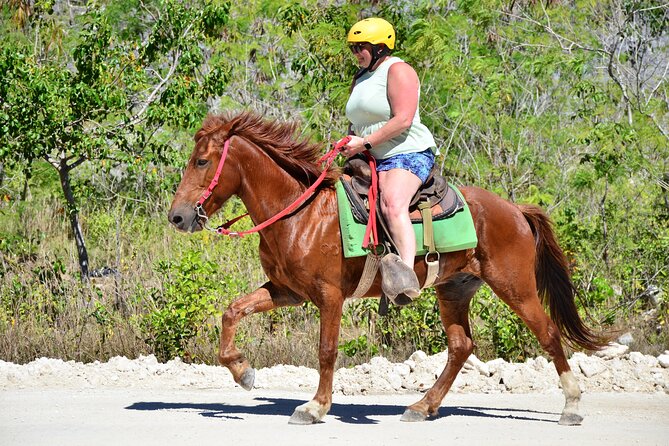 Full Access To Bavaro Adventure Park - With Buggys & Lunch - Customer Reviews