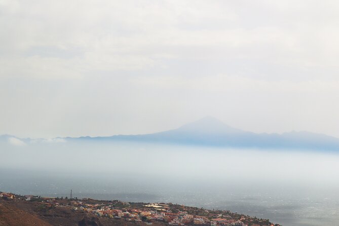 Full-Day Bus Tour to La Gomera Island With Professional Guide - Lunch Included - Customer Reviews