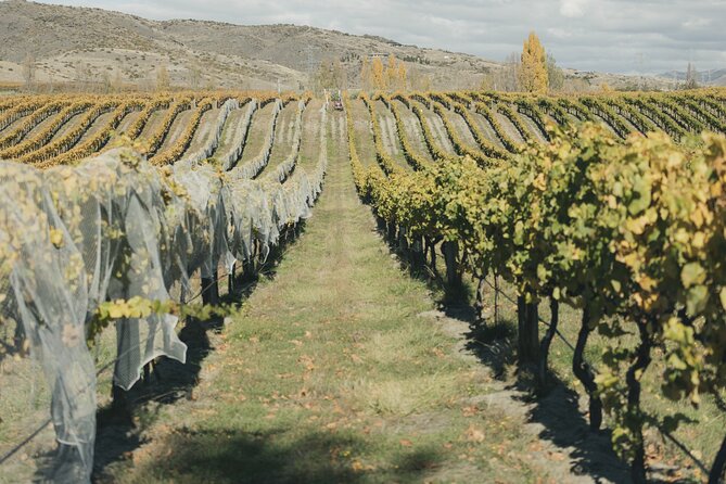 Full-Day Central Otago Food & Wine Tour - Pickup and Meeting Details