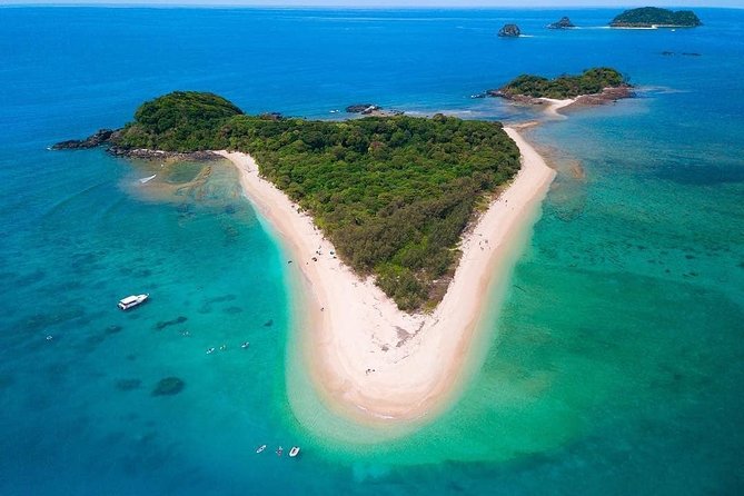 Full-Day Cruise Tour to Frankland Islands Great Barrier Reef - Wildlife Encounters