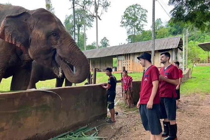 Full Day Experience at Ran-Tong Save & Rescue Elephant Centre - Daily Itinerary