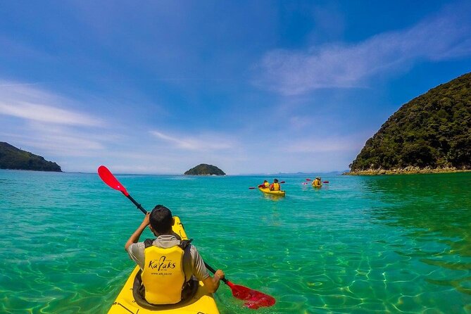 Full-Day Freedom Kayak Rental in New Zealand - Customer Reviews and Feedback