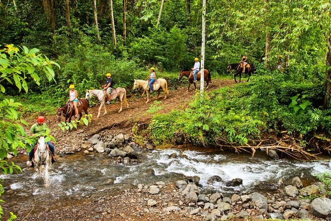 Full Day Fun Pass Jaco Jungle Adventure Five in One With Lunch (7 Hours) - Customer Reviews Highlights