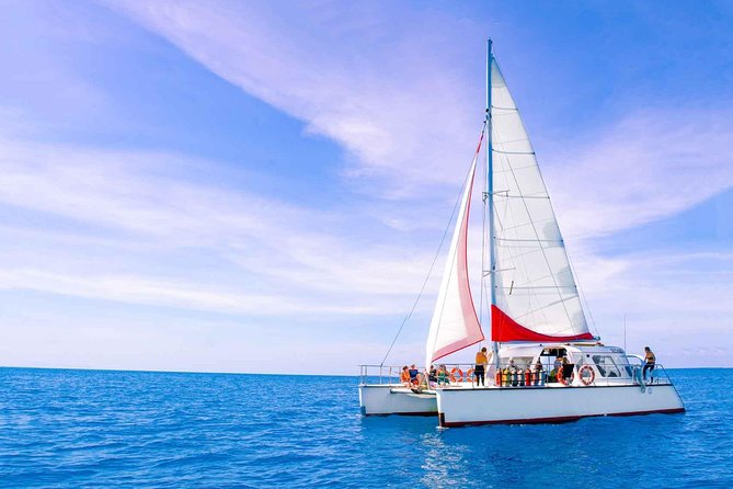 Full-Day Great Barrier Reef Sailing Trip From Cairns - Snorkeling at Upolu Reef