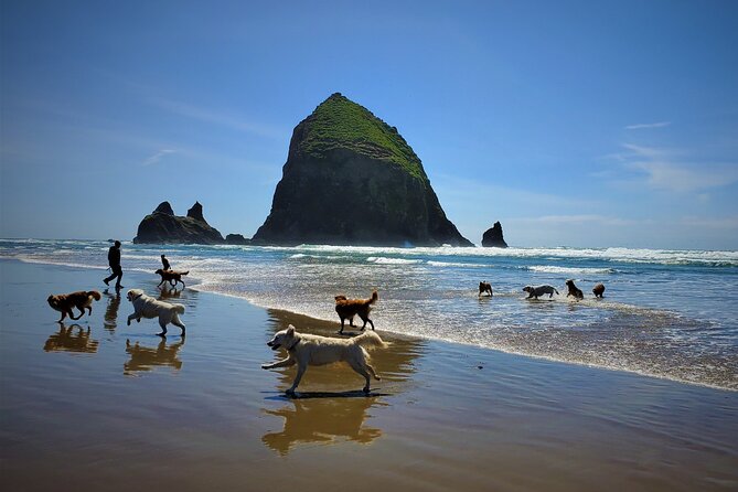 Full-Day Guided Oregon Coast Tour From Portland - Recommendations for Travelers