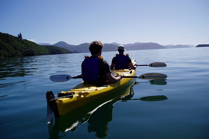 Full Day Guided Sea Kayak Tour From Picton - Customer Reviews and Ratings