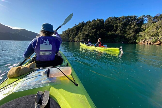 Full-Day Guided Sea Kayak Trip From Picton - Meeting and Pickup Details