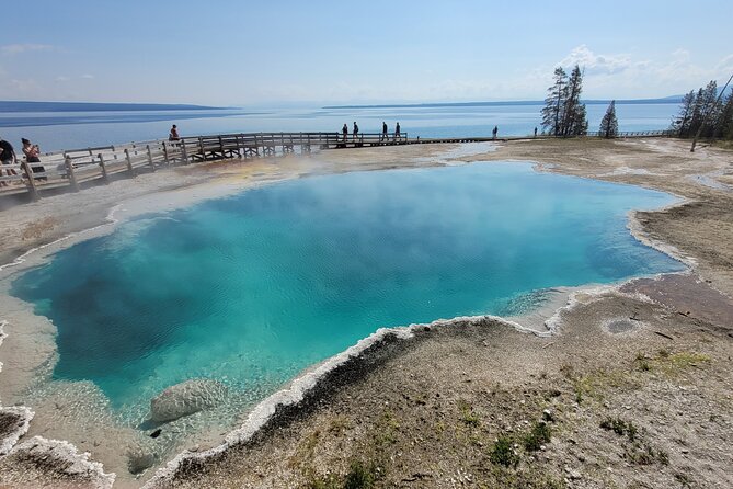Full-Day Guided Yellowstone Day Tour - Wildlife Viewing Opportunities