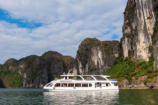 Full-Day Halong Bay Islands and Cave Tour Transfer 2 Ways by Newest Expressway - Customer Reviews and Ratings