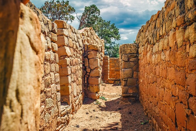 Full-Day Mesa Verde Discovery Tour - Customer Experiences