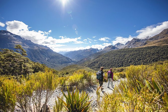 Full-Day Milford Sound Tour With Cruise and Walks From Te Anau - Comfortable Transportation