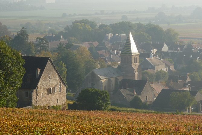 Full Day Private Tour 10 Premiers & Grands Crus, The Best of Burgundy - Accessibility Features