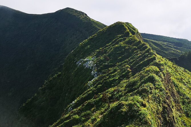 Full-Day Private Tour of Faial - Guest Reviews and Feedback
