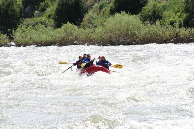 Full Day Rafting on the Yellowstone River - Safety Guidelines