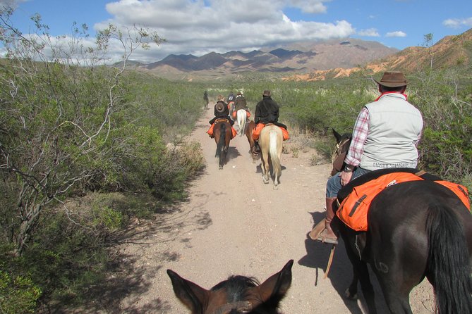 Full Day Ride at the Foot of the Andes - Unique Features of the Tour