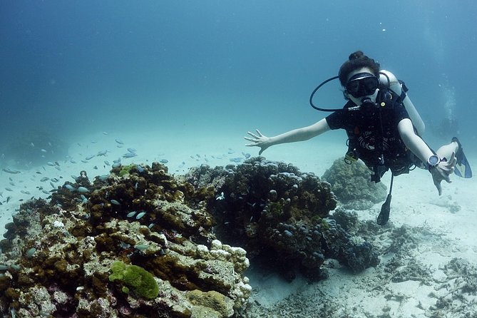 Full-Day Scuba Diving (3Dives) in Phuket - Rental Equipment and Pricing
