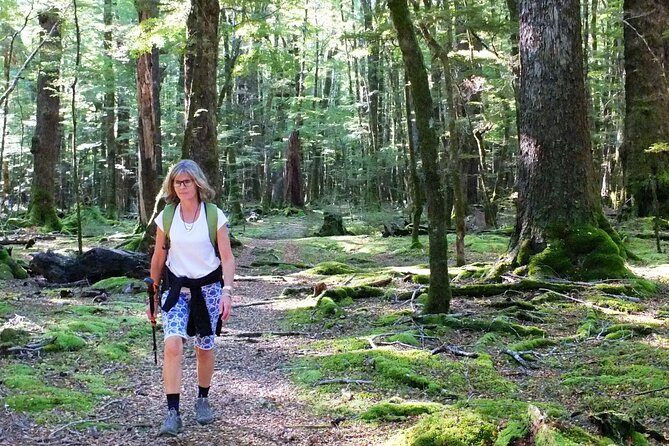 Full-Day Small-Group Routeburn Valley Walk - Weather Considerations