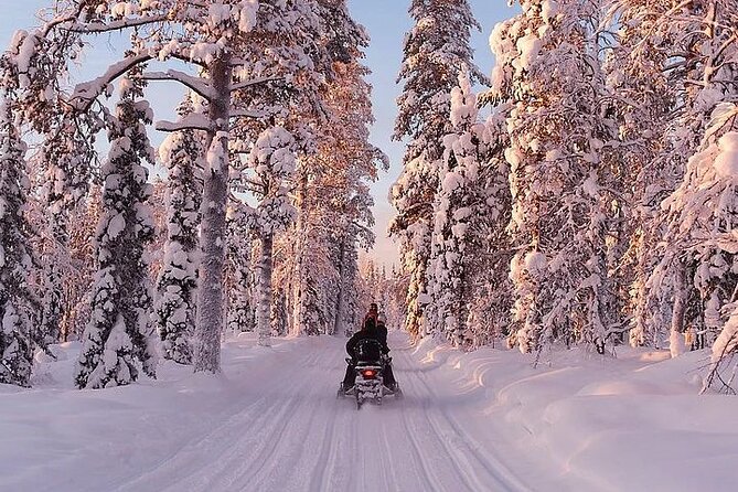 Full Day Snowmobile Safari - Safety and Restrictions