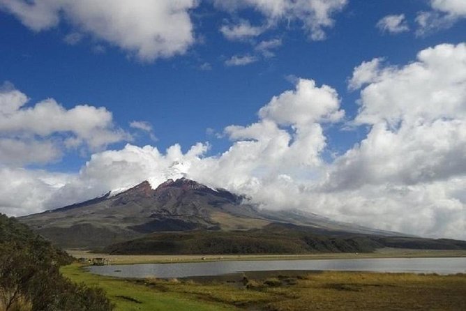 Full-Day Tour Cotopaxi National Park - All Included From Quito - Booking Process