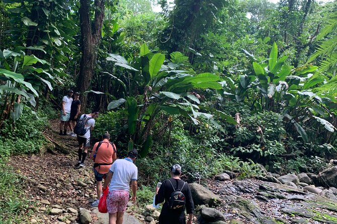 Full-Day Tour: El Yunque, Luquillo Beach, Bio Bay Night Kayaking - Recommendations for Travelers