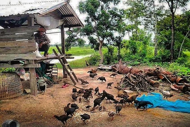 Full-Day Tour & Homestay in the Battambang Countryside - Pickup Locations and Times