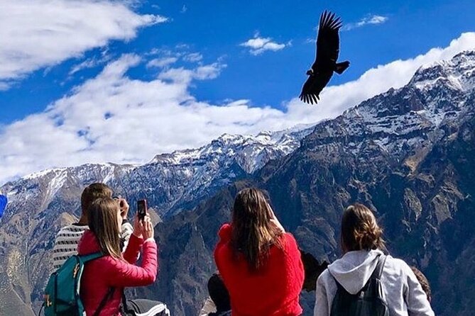 Full Day Tour to Colca From Arequipa - Scenic Attractions Along the Route