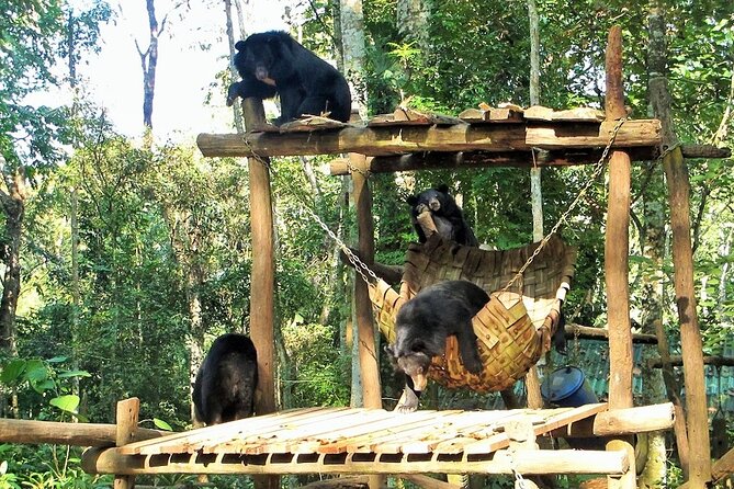 Full Day Tour To Pak Ou Caves, Traditional Village & Kuang Si Waterfall - Kuang Si Falls
