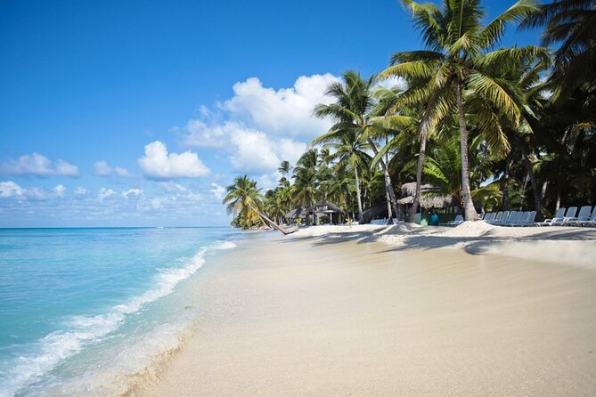 Full-Day Tour to Saona Island Sailing With Lunch Free Beverages! - Pricing and Booking Information
