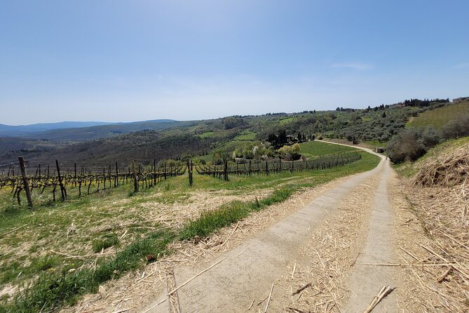 Full-Day Tuscan Hills Bike Tour - Scenic Routes and Sightseeing