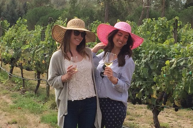 Full-Day Wine Gourmet and Scenic Delight Tour of Marlborough From Blenheim - Inclusions and Amenities