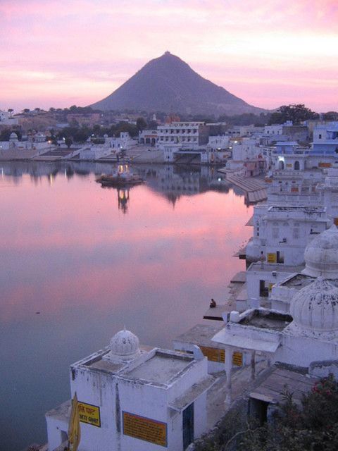 Fullday Pushkar Tour From Jaipur With Guid+Camel/Jeep Safari - Customer Feedback