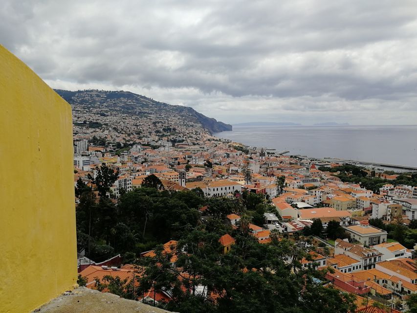 Funchal: City Tour in a Tukxi - Whats Included