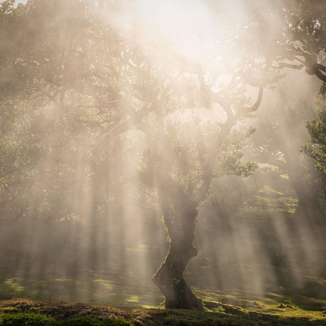 Funchal: Island Explorer Madeira by 4X4 North West - Lombo Do Mouro