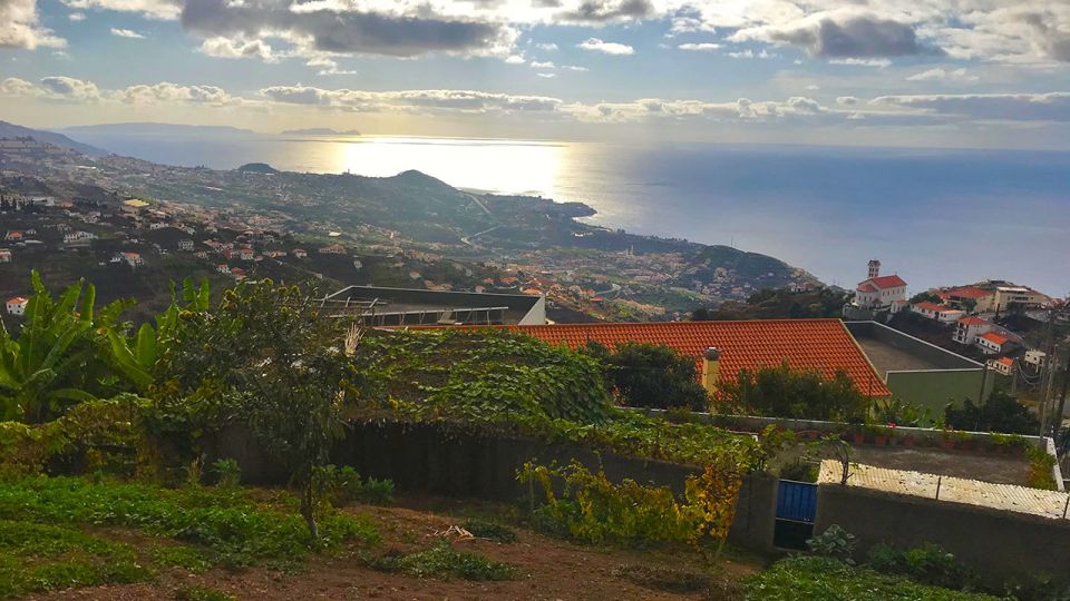 Funchal: Northern Levada Walking Tour - Tour Description