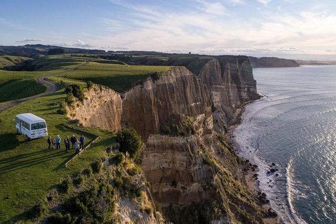 Gannet Safaris Overland Tour to Cape Kidnappers Gannet Colony - Wildlife Viewing Experience