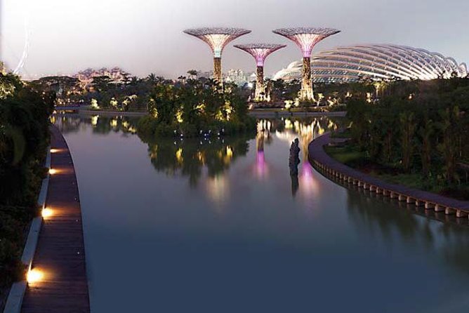 Gardens by the Bay With One Way Transfer (2 Domes) - The Impressive Super Trees