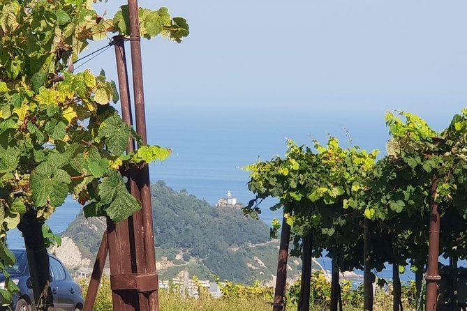 Getaria Txakoli Wine Tour With Hotel Pick-Up From San Sebastian - Traveler Feedback and Reviews