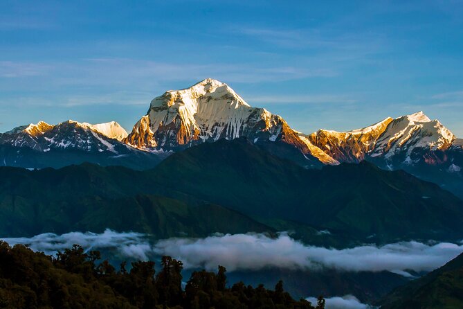 Ghorepani - Poon Hill Trek – 5 DAYS - Guidance and Support