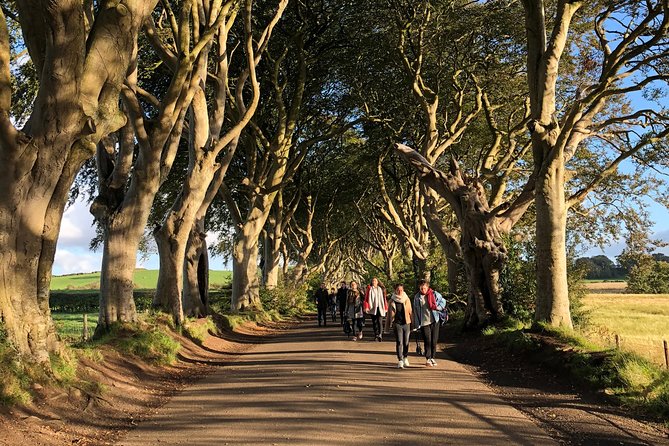 Giants Causeway, Rope Bridge, Carrickfergus Castle and Dark Hedges Tour - Additional Details