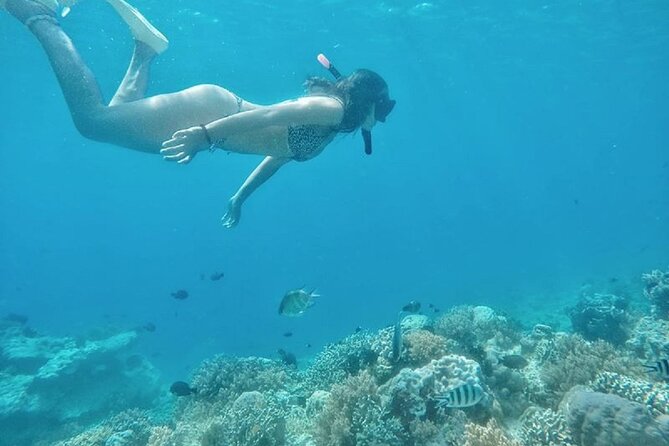 Gili Island Snorkeling Half Day Trip Departure From Gili Trawangan - Customer Reviews and Feedback