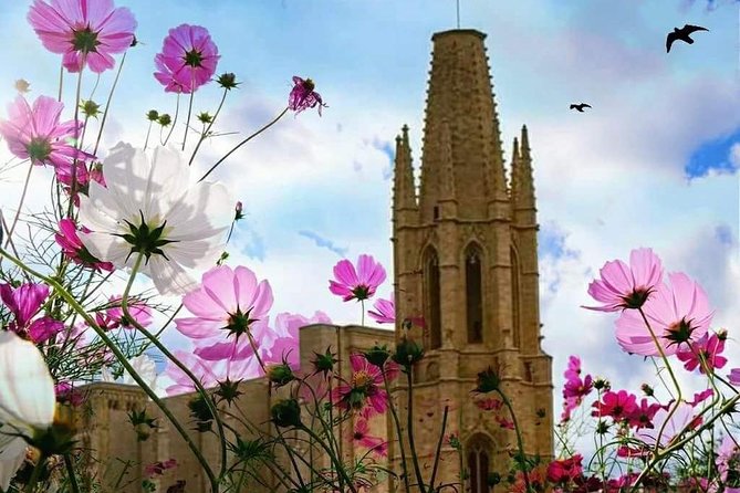 Girona Guided Tour With Cathedral, Arab Baths & St Feliu Basilica - Travel Recommendations