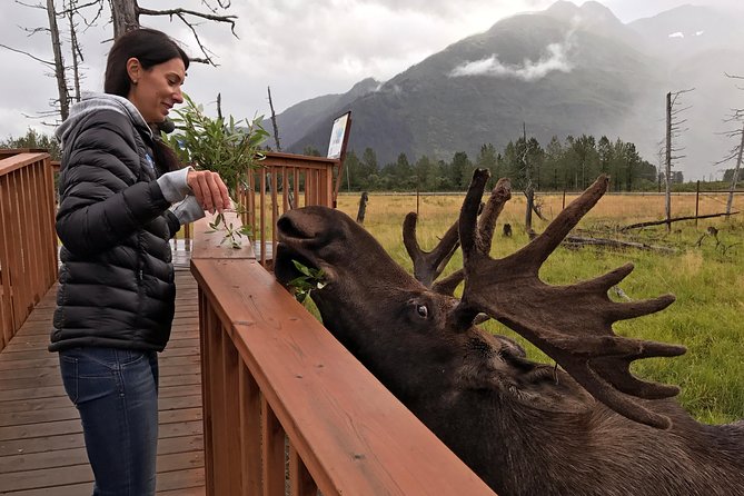 Glaciers and Wildlife: Super Scenic Day Tour From Anchorage - Inclusions and Logistics