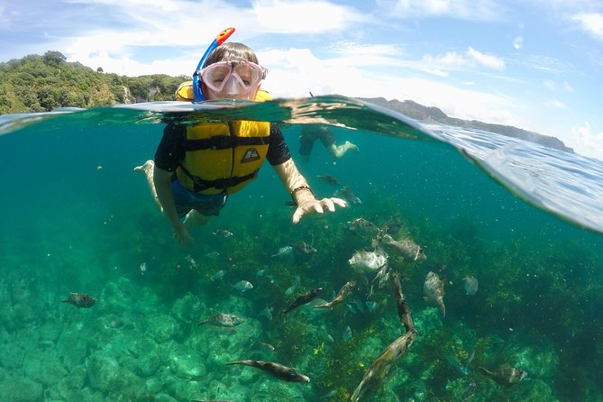 Glass Bottom Boat Whitianga Cathedral Cove Cruise - Pricing and Cancellation Information