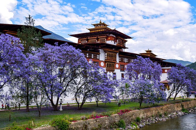 Glimpse of Bhutan - Traveler Experiences